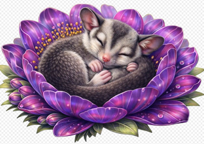 2026 Wooden Sleeping Aussie Animals